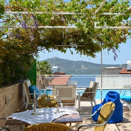 וילה South Star Villas קלקן
